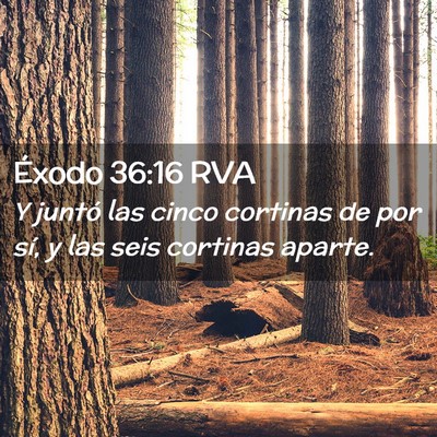 Picture 02 - Éxodo 36:16 RVA - Y juntó las cinco cortinas de por sí, y las - Bible Verse Picture
