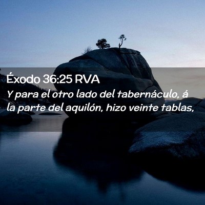 Picture 02 - Éxodo 36:25 RVA - Y para el otro lado del tabernáculo, á la parte - Bible Verse Picture