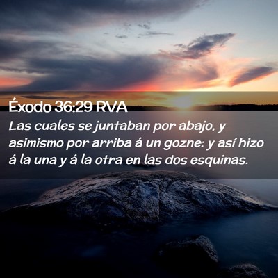Picture 02 - Éxodo 36:29 RVA - Las cuales se juntaban por abajo, y asimismo por - Bible Verse Picture