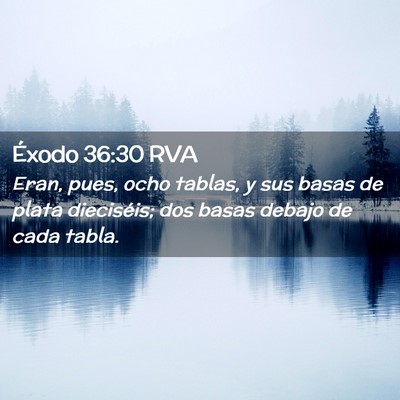 Picture 02 - Éxodo 36:30 RVA - Eran, pues, ocho tablas, y sus basas de plata - Bible Verse Picture