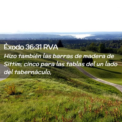 Picture 02 - Éxodo 36:31 RVA - Hizo también las barras de madera de Sittim; - Bible Verse Picture