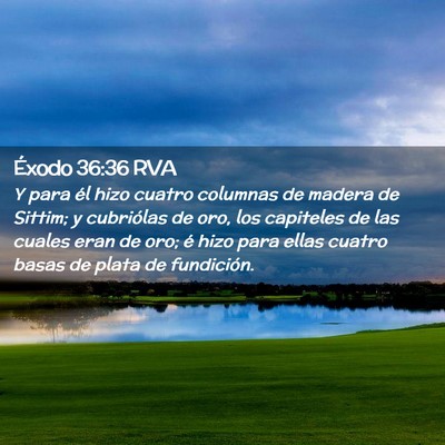 Picture 02 - Éxodo 36:36 RVA - Y para él hizo cuatro columnas de madera de - Bible Verse Picture