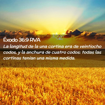 Picture 02 - Éxodo 36:9 RVA - La longitud de la una cortina era de veintiocho - Bible Verse Picture