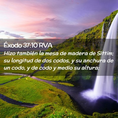 Picture 02 - Éxodo 37:10 RVA - Hizo también la mesa de madera de Sittim; su - Bible Verse Picture