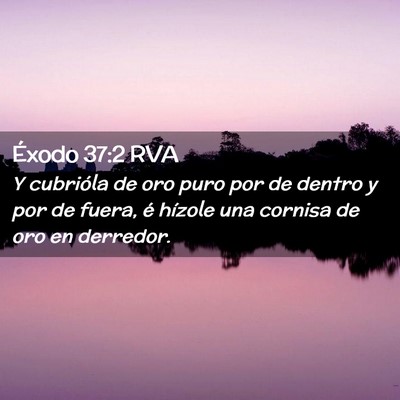 Picture 02 - Éxodo 37:2 RVA - Y cubrióla de oro puro por de dentro y por de - Bible Verse Picture