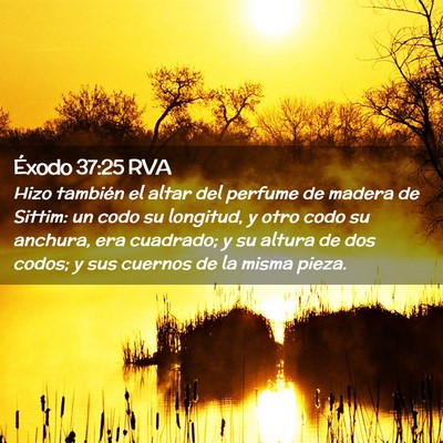 Picture 02 - Éxodo 37:25 RVA - Hizo también el altar del perfume de madera de - Bible Verse Picture