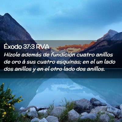 Picture 02 - Éxodo 37:3 RVA - Hízole además de fundición cuatro anillos de - Bible Verse Picture