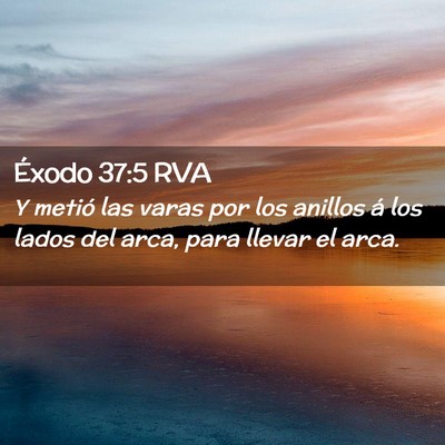 Picture 02 - Éxodo 37:5 RVA - Y metió las varas por los anillos á los lados - Bible Verse Picture