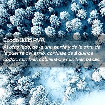 Picture 02 - Éxodo 38:15 RVA - Al otro lado, de la una parte y de la otra de la - Bible Verse Picture