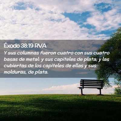 Picture 02 - Éxodo 38:19 RVA - Y sus columnas fueron cuatro con sus cuatro basas - Bible Verse Picture