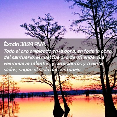 Picture 02 - Éxodo 38:24 RVA - Todo el oro empleado en la obra, en toda la obra - Bible Verse Picture