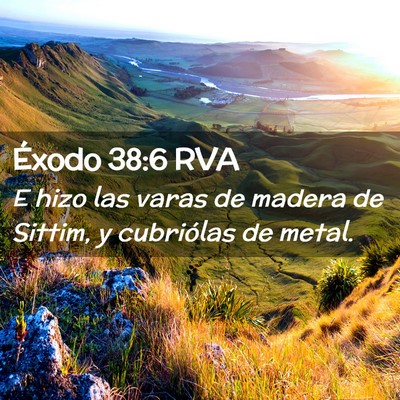 Picture 02 - Éxodo 38:6 RVA - E hizo las varas de madera de Sittim, y - Bible Verse Picture