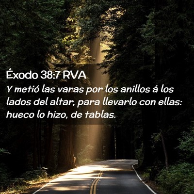 Picture 02 - Éxodo 38:7 RVA - Y metió las varas por los anillos á los lados - Bible Verse Picture