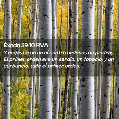 Picture 02 - Éxodo 39:10 RVA - Y engastaron en él cuatro órdenes de piedras. - Bible Verse Picture