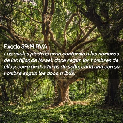 Picture 02 - Éxodo 39:14 RVA - Las cuales piedras eran conforme á los nombres - Bible Verse Picture