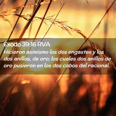 Picture 02 - Éxodo 39:16 RVA - Hicieron asimismo los dos engastes y los dos - Bible Verse Picture