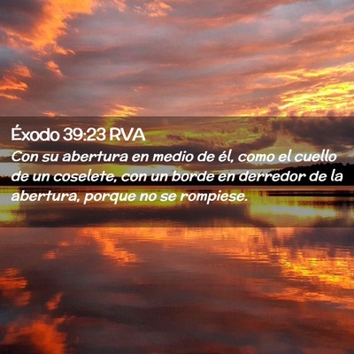 Picture 02 - Éxodo 39:23 RVA - Con su abertura en medio de él, como el cuello - Bible Verse Picture