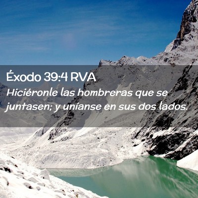 Picture 02 - Éxodo 39:4 RVA - Hiciéronle las hombreras que se juntasen; y - Bible Verse Picture