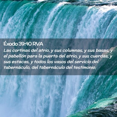 Picture 02 - Éxodo 39:40 RVA - Las cortinas del atrio, y sus columnas, y sus - Bible Verse Picture