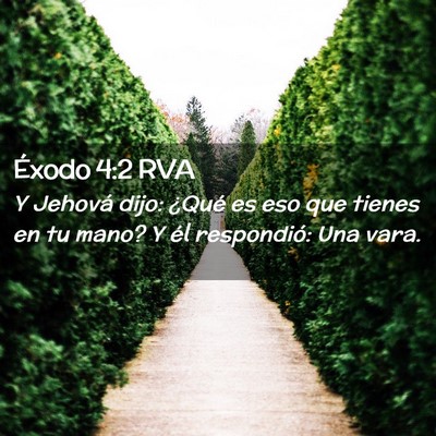 Picture 02 - Éxodo 4:2 RVA - Y Jehová dijo: ¿Qué es eso que tienes en tu - Bible Verse Picture