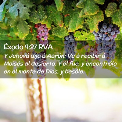 Picture 02 - Éxodo 4:27 RVA - Y Jehová dijo á Aarón: Ve á recibir á - Bible Verse Picture