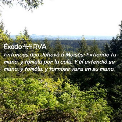 Picture 02 - Éxodo 4:4 RVA - Entonces dijo Jehová á Moisés: Extiende tu - Bible Verse Picture