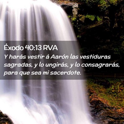 Picture 02 - Éxodo 40:13 RVA - Y harás vestir á Aarón las vestiduras - Bible Verse Picture