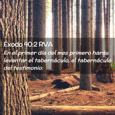 Picture 02 - Éxodo 40:2 RVA - En el primer día del mes primero harás levantar - Bible Verse Picture