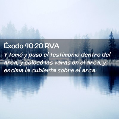 Picture 02 - Éxodo 40:20 RVA - Y tomó y puso el testimonio dentro del arca, y - Bible Verse Picture