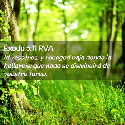 Picture 02 - Éxodo 5:11 RVA - Id vosotros, y recoged paja donde la hallareis; - Bible Verse Picture