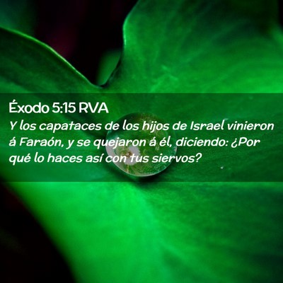 Picture 02 - Éxodo 5:15 RVA - Y los capataces de los hijos de Israel vinieron - Bible Verse Picture