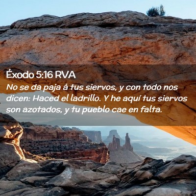 Picture 02 - Éxodo 5:16 RVA - No se da paja á tus siervos, y con todo nos - Bible Verse Picture