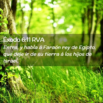 Picture 02 - Éxodo 6:11 RVA - Entra, y habla á Faraón rey de Egipto, que deje - Bible Verse Picture