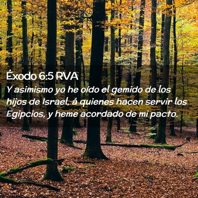 Picture 02 - Éxodo 6:5 RVA - Y asimismo yo he oído el gemido de los hijos de - Bible Verse Picture