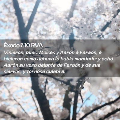 Picture 02 - Éxodo 7:10 RVA - Vinieron, pues, Moisés y Aarón á Faraón, é - Bible Verse Picture