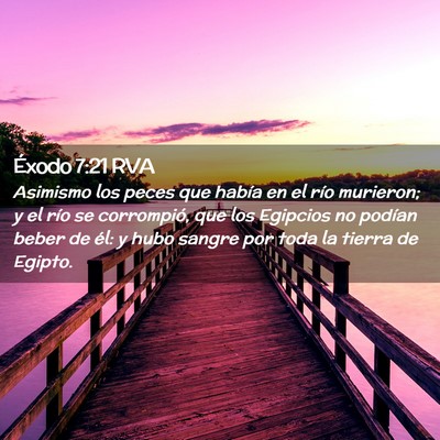 Picture 02 - Éxodo 7:21 RVA - Asimismo los peces que había en el río - Bible Verse Picture