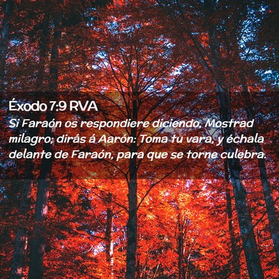 Picture 02 - Éxodo 7:9 RVA - Si Faraón os respondiere diciendo, Mostrad - Bible Verse Picture