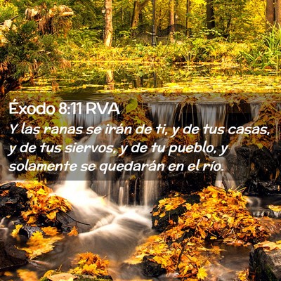 Picture 02 - Éxodo 8:11 RVA - Y las ranas se irán de ti, y de tus casas, y de - Bible Verse Picture