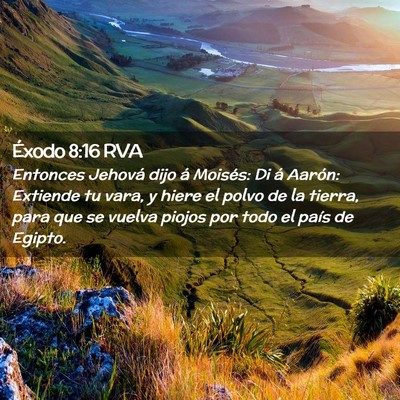 Picture 02 - Éxodo 8:16 RVA - Entonces Jehová dijo á Moisés: Di á Aarón: - Bible Verse Picture