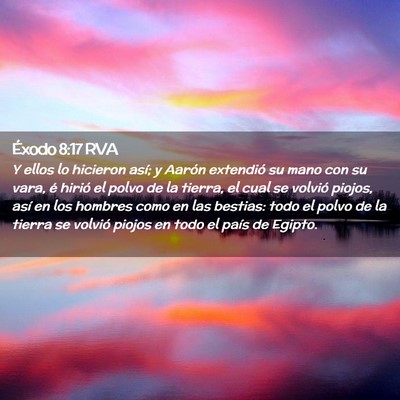 Picture 02 - Éxodo 8:17 RVA - Y ellos lo hicieron así; y Aarón extendió su - Bible Verse Picture