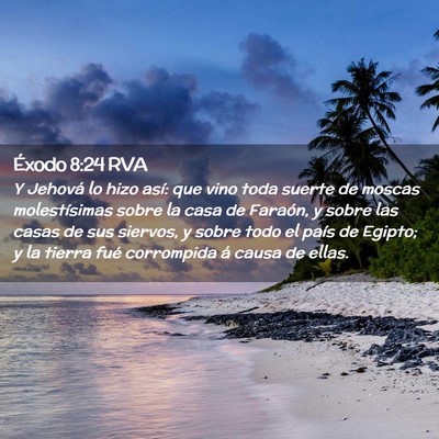 Picture 02 - Éxodo 8:24 RVA - Y Jehová lo hizo así: que vino toda suerte de - Bible Verse Picture