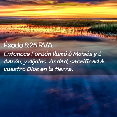 Picture 02 - Éxodo 8:25 RVA - Entonces Faraón llamó á Moisés y á Aarón, y - Bible Verse Picture