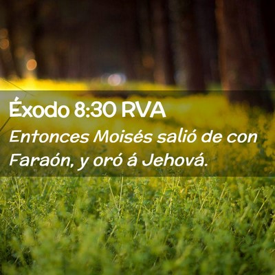 Picture 02 - Éxodo 8:30 RVA - Entonces Moisés salió de con Faraón, y oró á - Bible Verse Picture