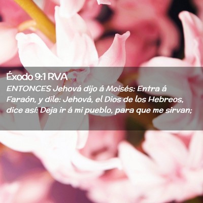 Picture 02 - Éxodo 9:1 RVA - ENTONCES Jehová dijo á Moisés: Entra á - Bible Verse Picture
