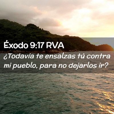 Picture 02 - Éxodo 9:17 RVA - ¿Todavía te ensalzas tú contra mi pueblo, para - Bible Verse Picture