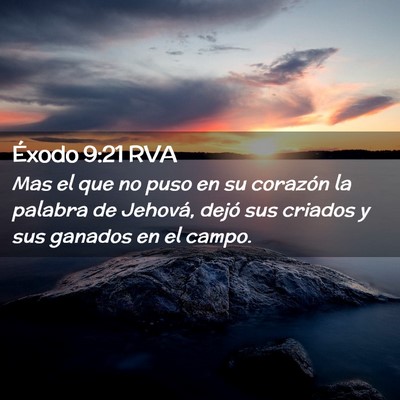 Picture 02 - Éxodo 9:21 RVA - Mas el que no puso en su corazón la palabra de - Bible Verse Picture