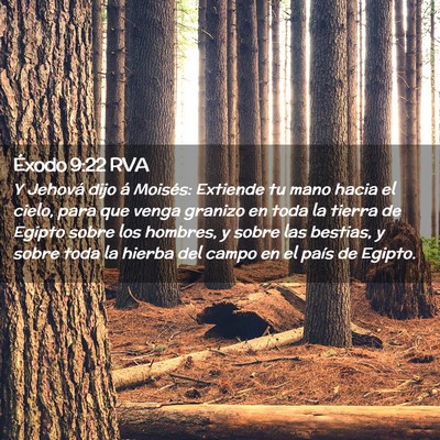 Picture 02 - Éxodo 9:22 RVA - Y Jehová dijo á Moisés: Extiende tu mano hacia - Bible Verse Picture