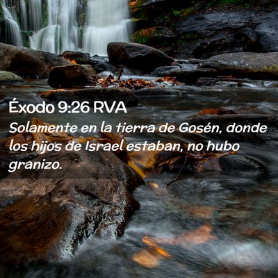 Picture 02 - Éxodo 9:26 RVA - Solamente en la tierra de Gosén, donde los hijos - Bible Verse Picture
