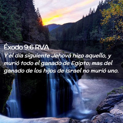 Picture 02 - Éxodo 9:6 RVA - Y el día siguiente Jehová hizo aquello, y - Bible Verse Picture