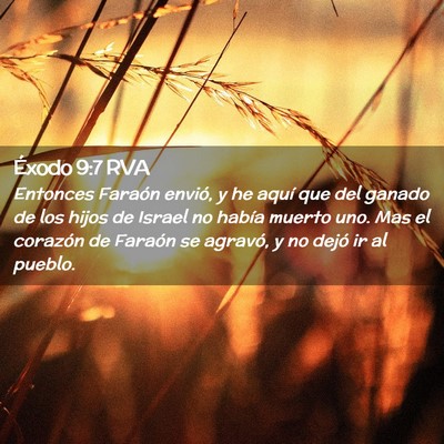 Picture 02 - Éxodo 9:7 RVA - Entonces Faraón envió, y he aquí que del - Bible Verse Picture